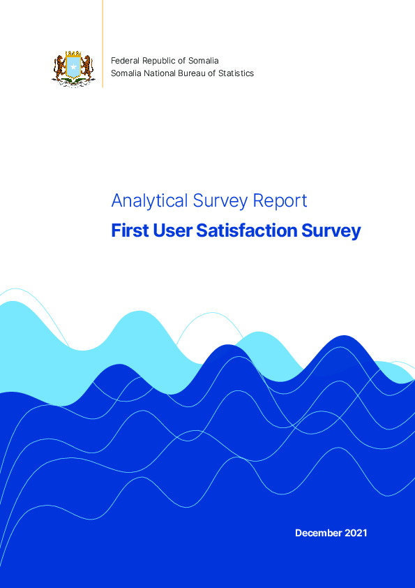 First User Satisfaction Survey Report